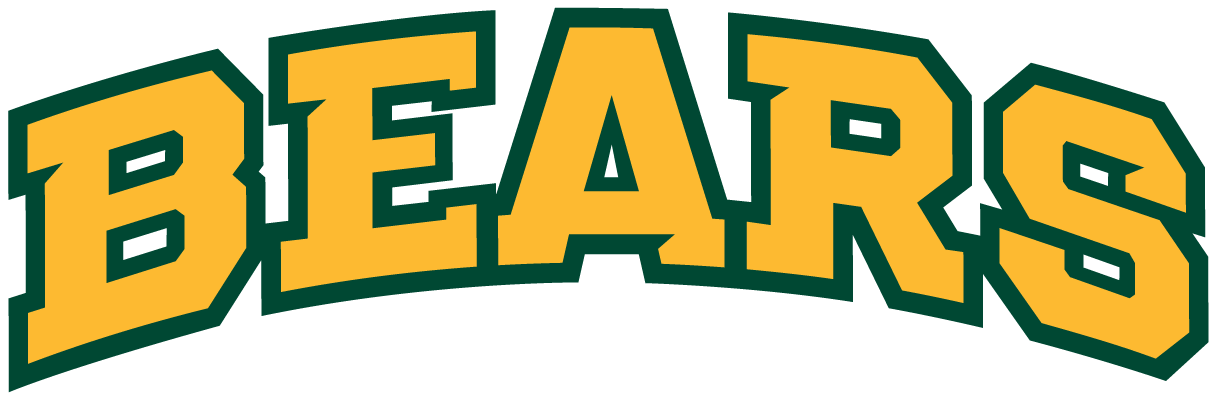 baylor bears 2005-pres wordmark logo v5 diy iron on heat transfer